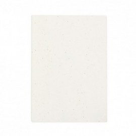 Libreta Semillas Derna